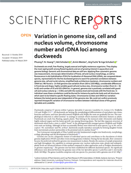 Variation in Genome Size, Cell and Nucleus Volume, Chromosome