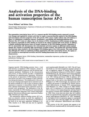 Analysis of the DNA-Binding and Activation Properties of the Human Transcription Factor AP-2