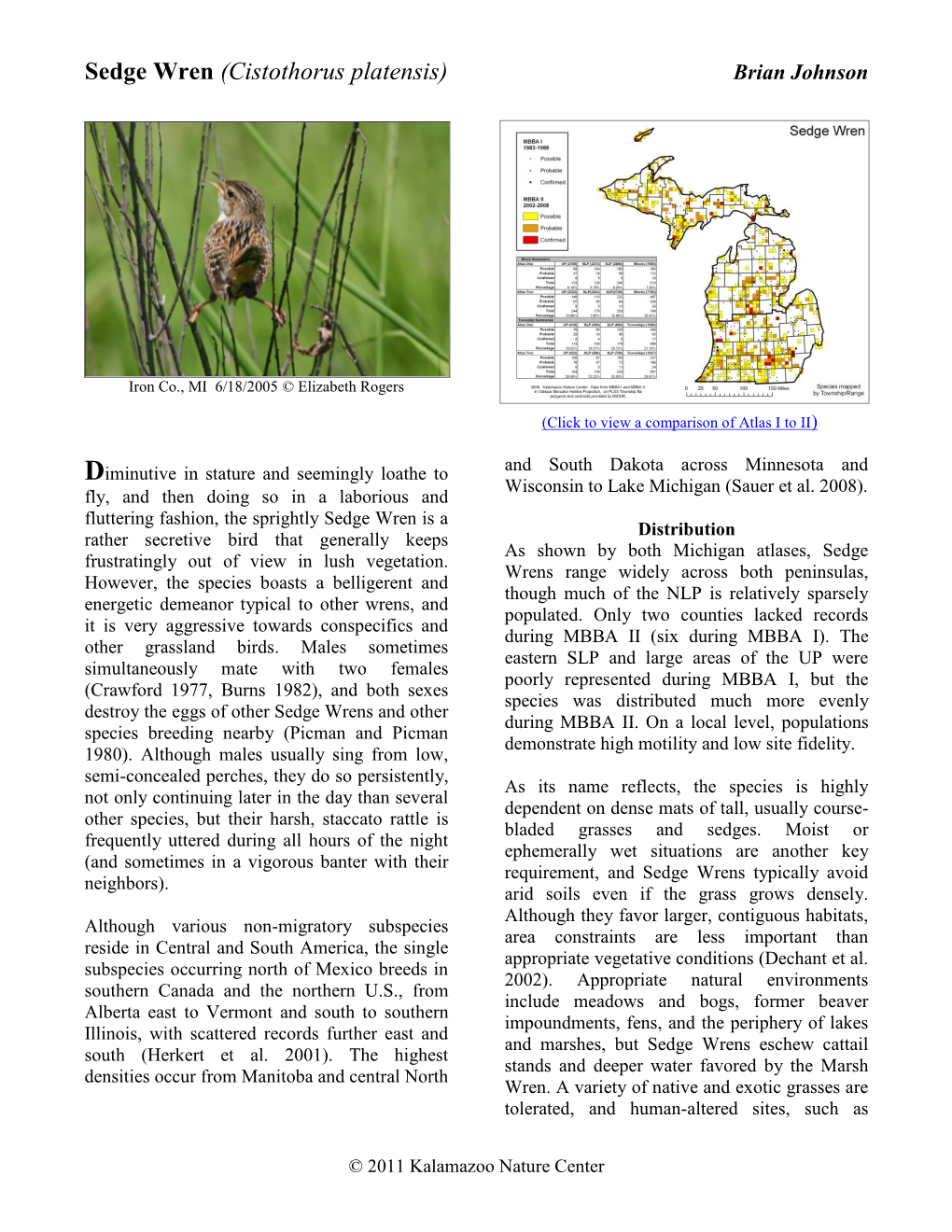 Sedge Wren (Cistothorus Platensis) Brian Johnson