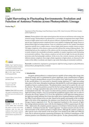 Light Harvesting in Fluctuating Environments: Evolution and Function of Antenna Proteins Across Photosynthetic Lineage