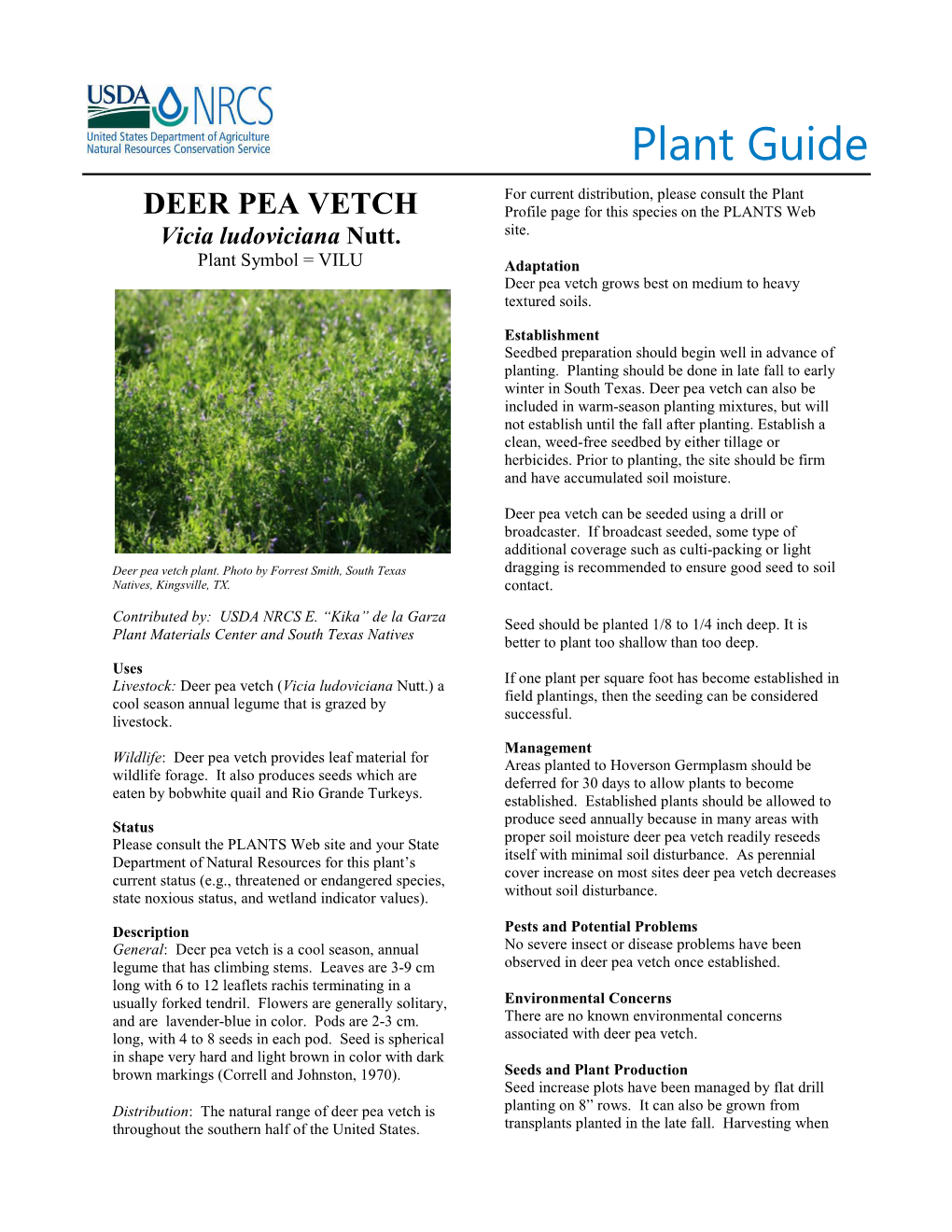 Deer Pea Vetch (Vicia Ludoviciana Nutt.) Plant Guide