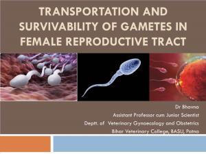 Transportation and Survivability of Gametes in Female Reproductive Tract