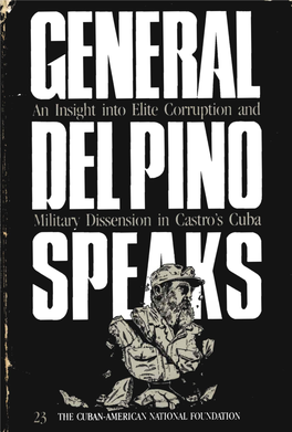 An Interview with Brigadier General Rafael Del Pino