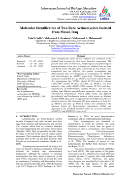 Molecular Identification of Two Rare Actinomycetes Isolated from Mosul, Iraq