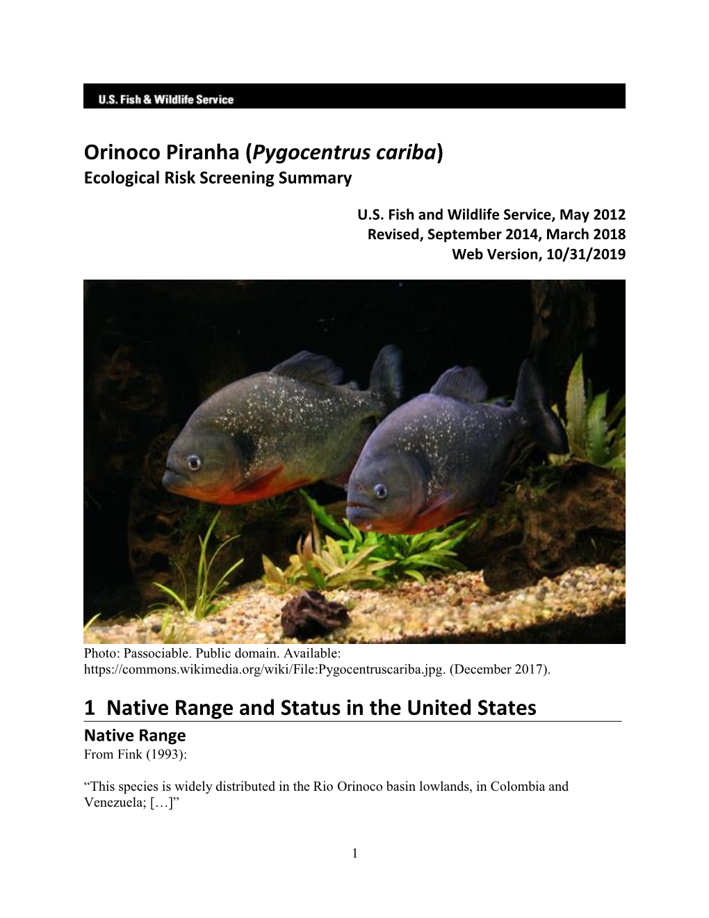 Pygocentrus Cariba (Orinoco Piranha) Ecological Risk Screening Summary