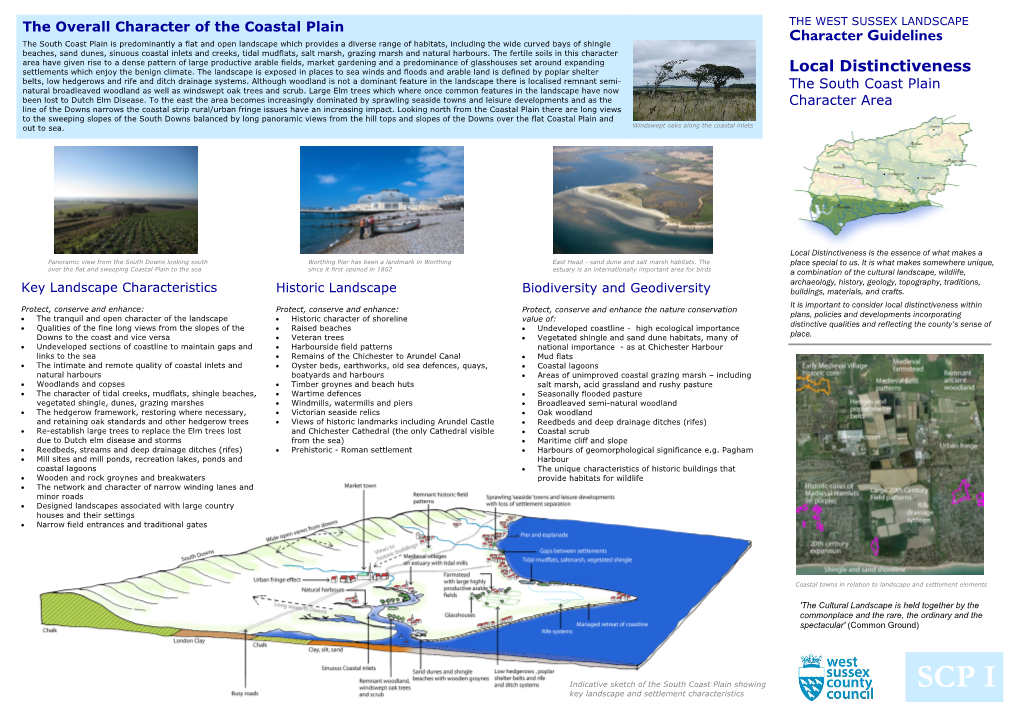 Overall Character of the Coastal Plain the WEST SUSSEX LANDSCAPE