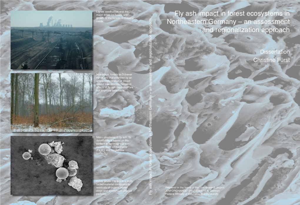 Fly Ash Impact in Forest Ecosystems in Northeastern Germany – an Assessment and Regionalization Approach