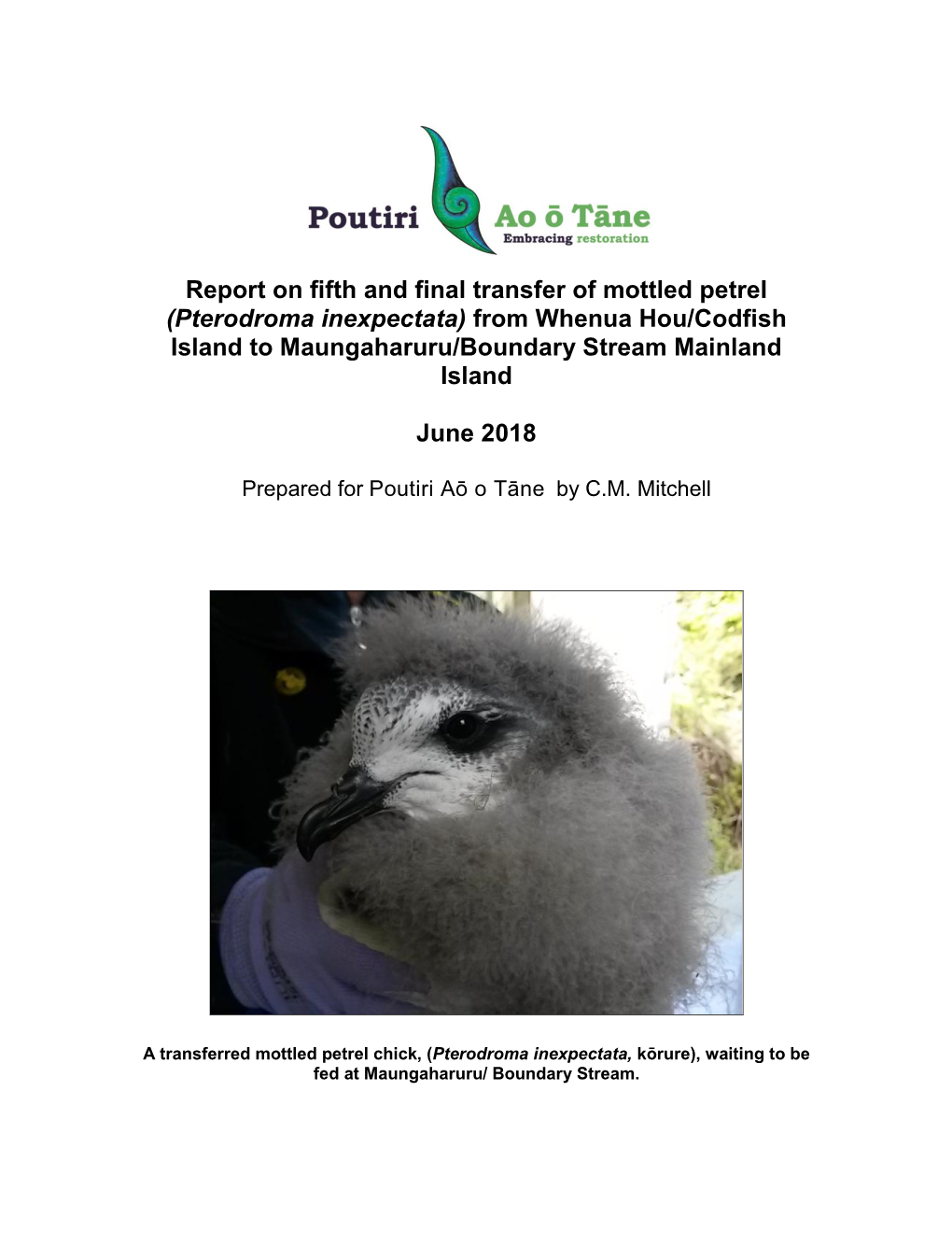 Report on Fifth and Final Transfer of Mottled Petrel (Pterodroma Inexpectata) from Whenua Hou/Codfish Island to Maungaharuru/Boundary Stream Mainland Island