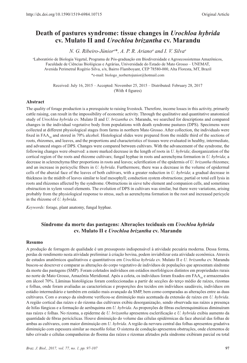 Death of Pastures Syndrome: Tissue Changes in Urochloa Hybrida Cv