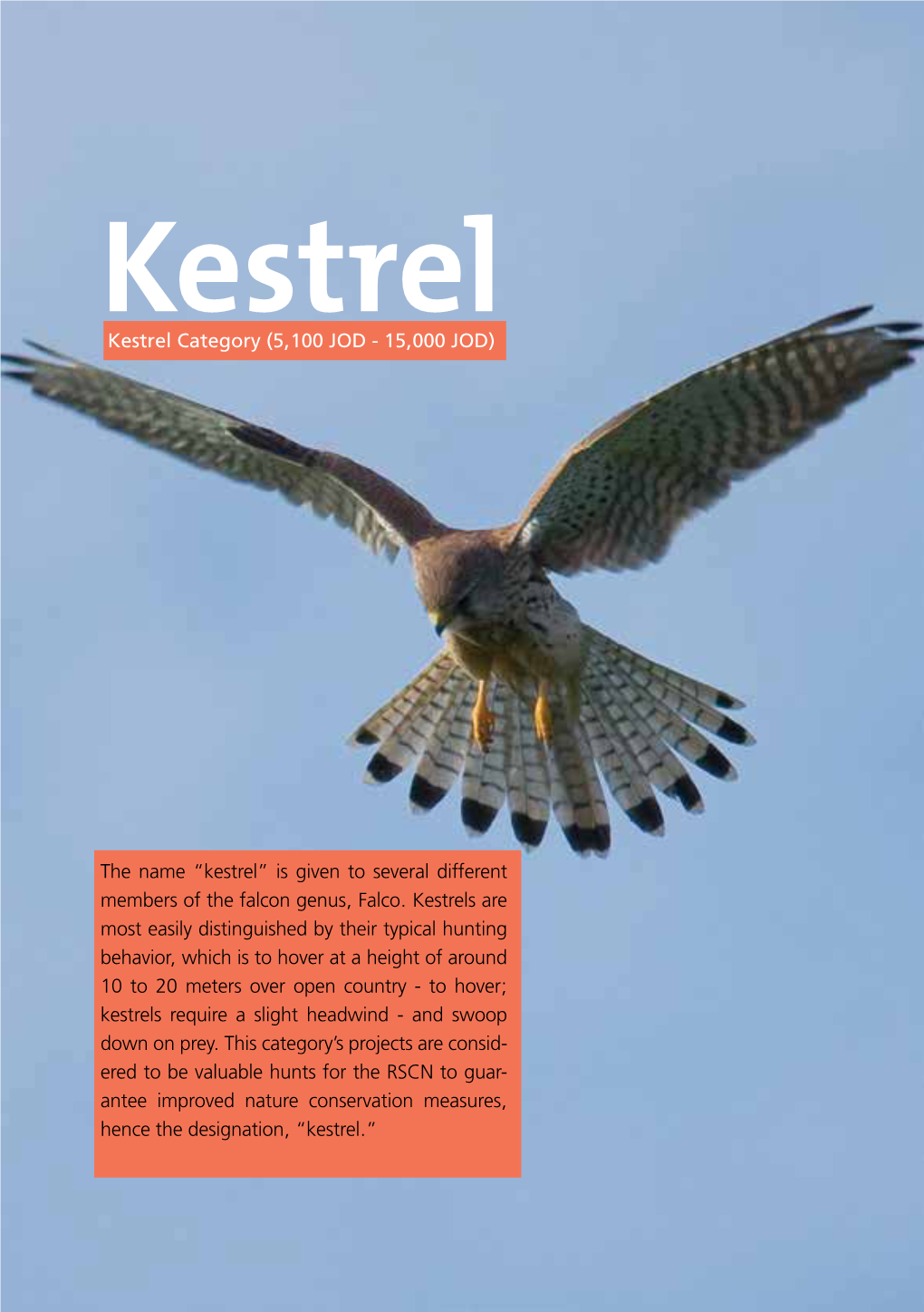 Kestrel Kestrel Category (5,100 JOD - 15,000 JOD)