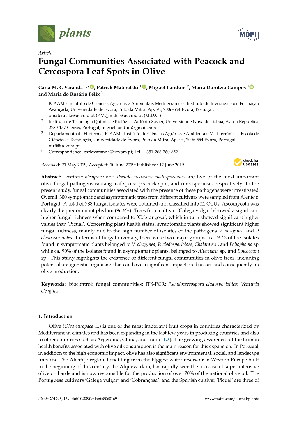 Fungal Communities Associated with Peacock and Cercospora Leaf Spots in Olive