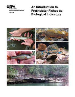 An Introduction to Freshwater Fishes As Biological Indicators