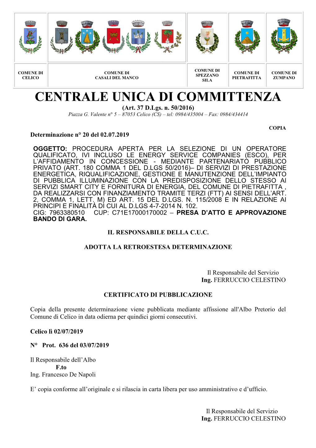 CENTRALE UNICA DI COMMITTENZA (Art