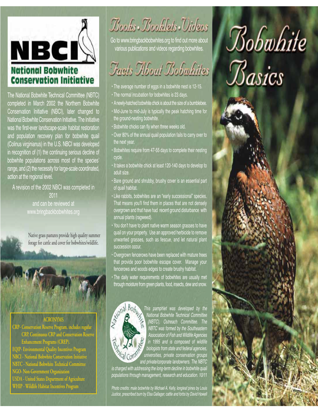 Bobwhite Basics Brochure