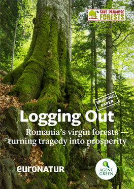 Romania's Virgin Forests