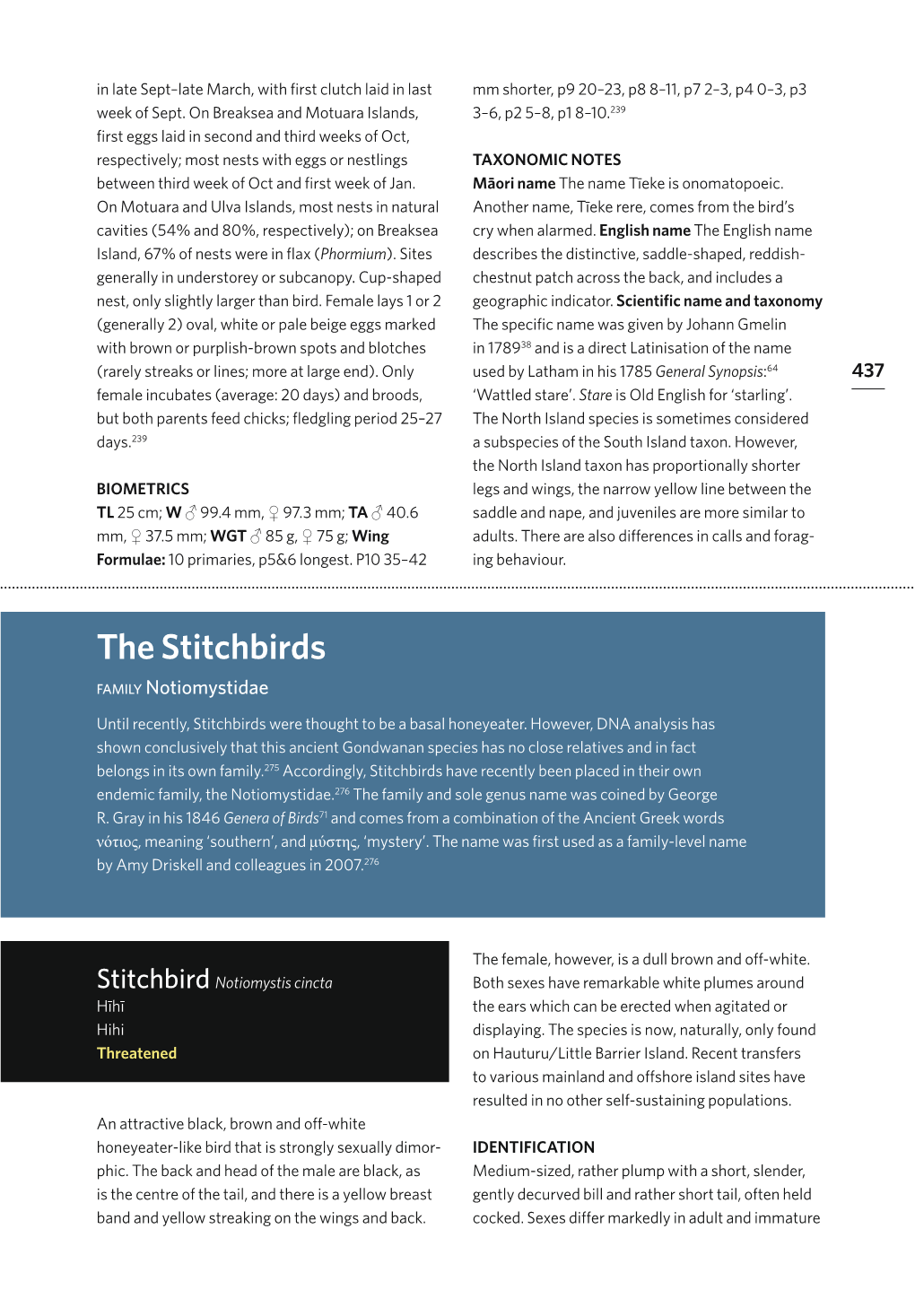 The Stitchbirds Family Notiomystidae