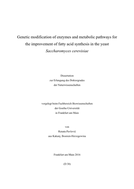 Genetic Modification of Enzymes and Metabolic Pathways for the Improvement of Fatty Acid Synthesis in the Yeast Saccharomyces Cerevisiae