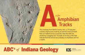 Indiana Geology Is for Brachiopod