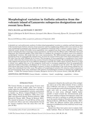 Morphological Variation in Gallotia Atlantica from the Volcanic Island of Lanzarote: Subspecies Designations and Recent Lava ﬂows