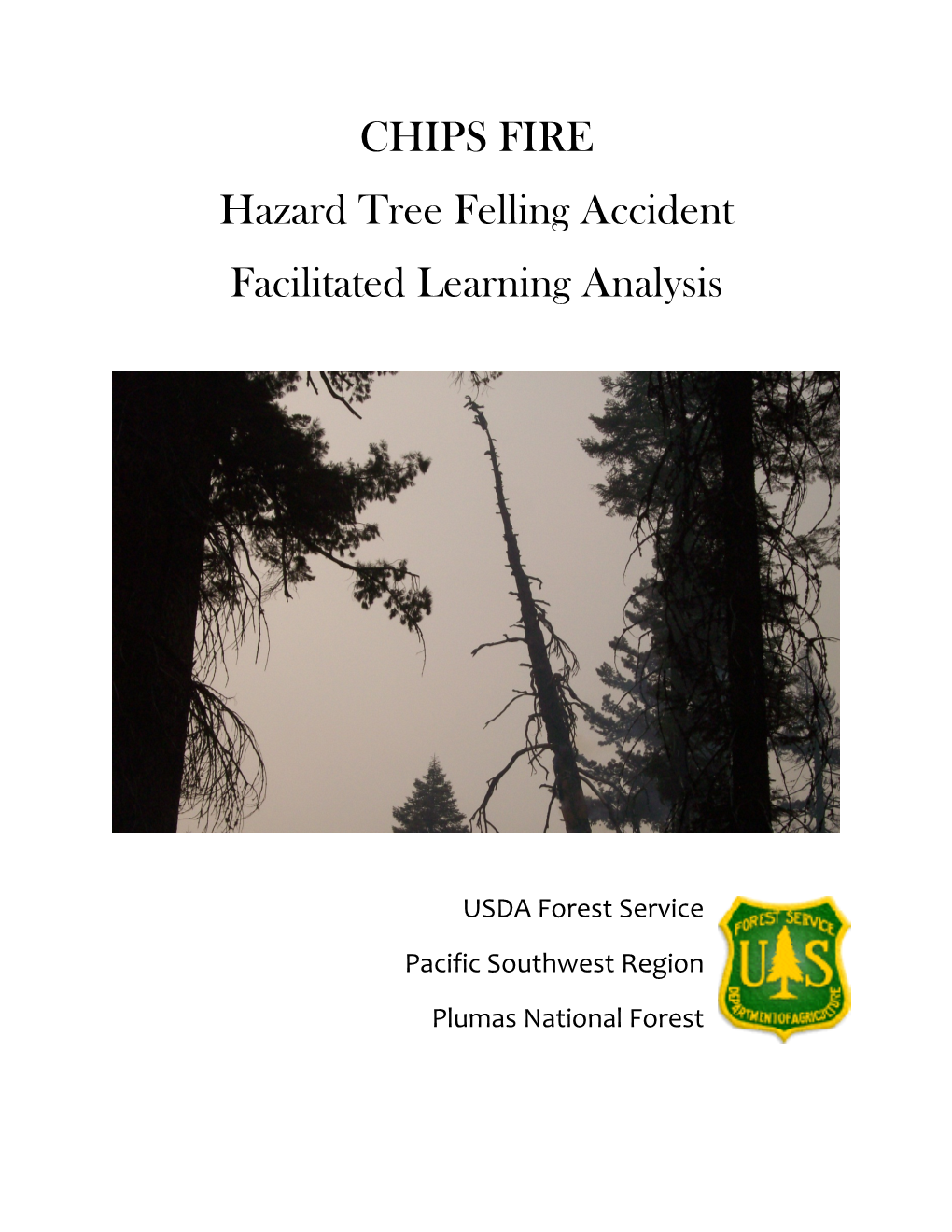 CHIPS FIRE Hazard Tree Felling Accident Facilitated Learning Analysis