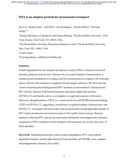 PI31 Is an Adaptor Protein for Proteasome Transport