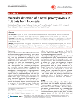 Molecular Detection of a Novel Paramyxovirus in Fruit Bats from Indonesia