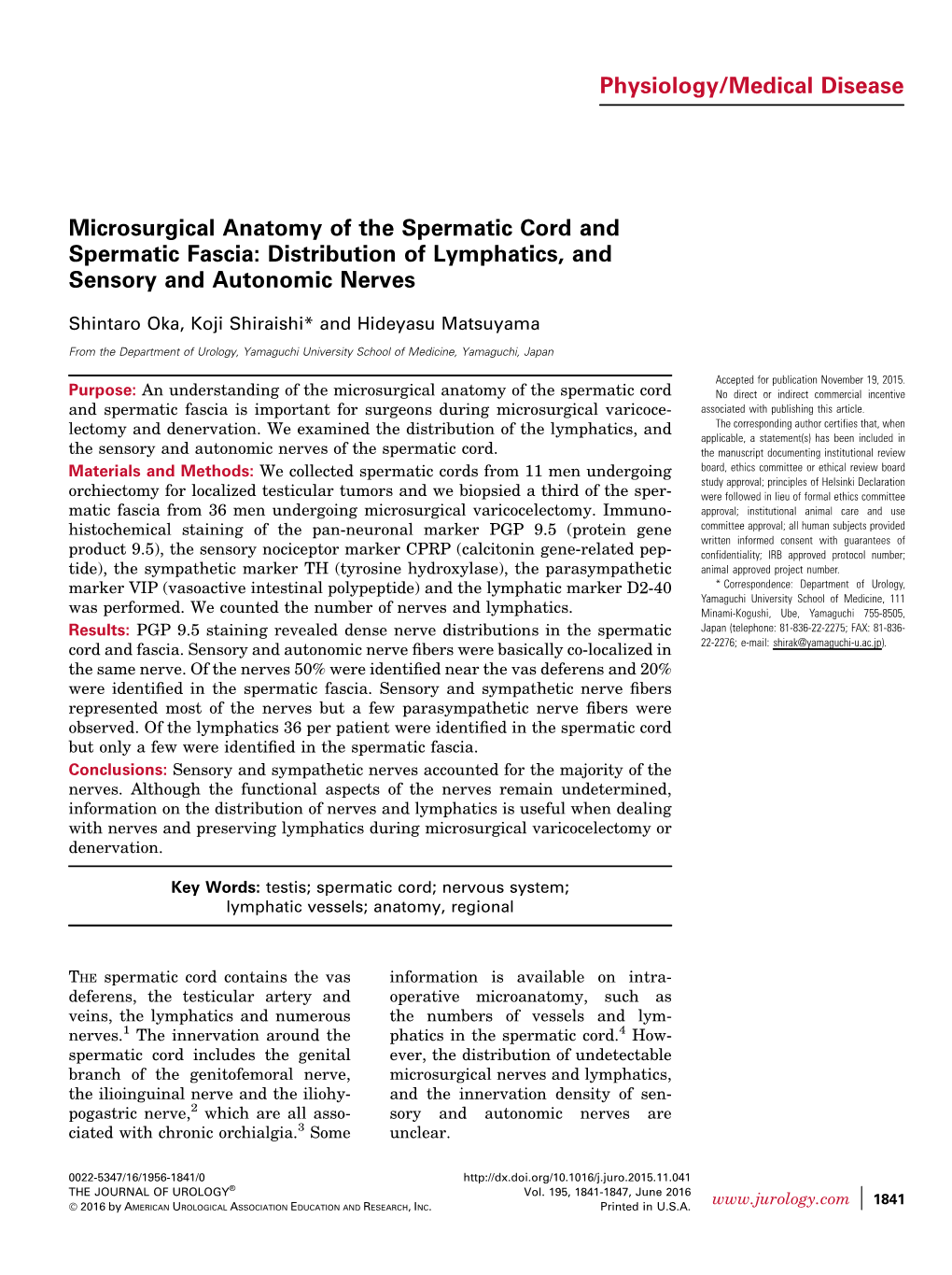 Microsurgical Anatomy of the Spermatic Cord and Spermatic Fascia: Distribution of Lymphatics, and Sensory and Autonomic Nerves