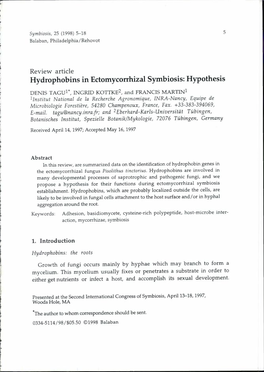 Hydrophobins in Ectomycorrhizal Symbiosis: Hypothesis
