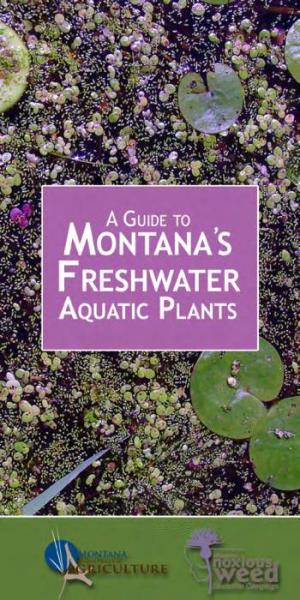 A Guide to Montana's Freshwater