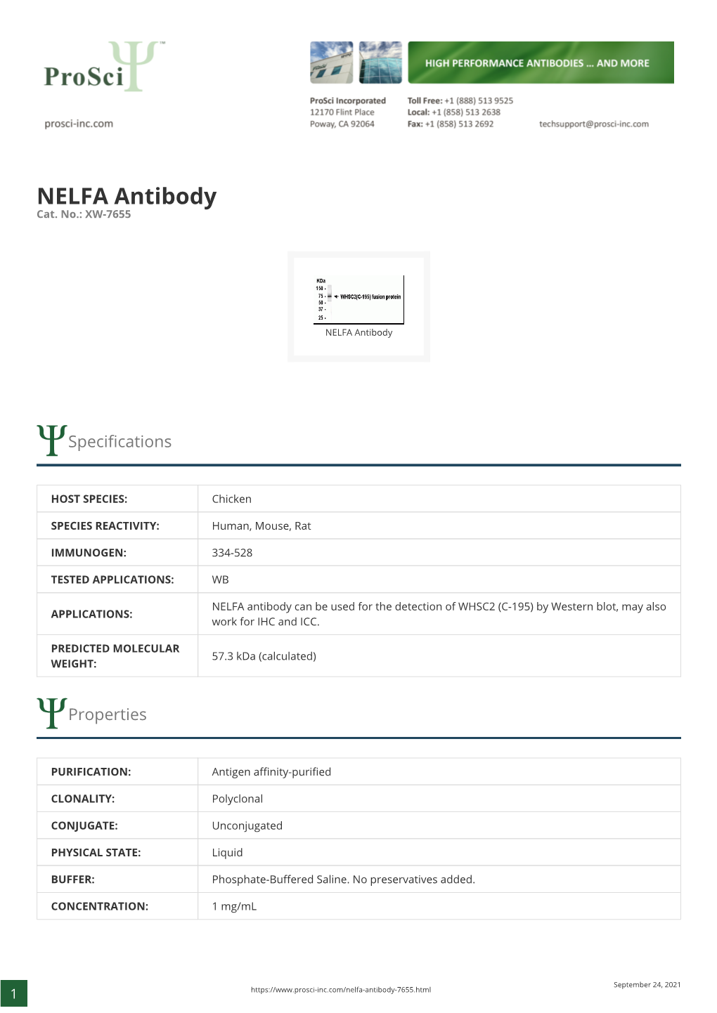 NELFA Antibody Cat