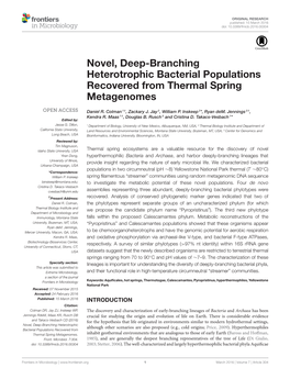 Novel, Deep-Branching Heterotrophic Bacterial Populations Recovered from Thermal Spring Metagenomes