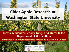 Cider Apple Research at Washington State University