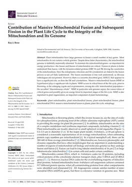 Contribution of Massive Mitochondrial Fusion and Subsequent Fission in the Plant Life Cycle to the Integrity of the Mitochondrion and Its Genome