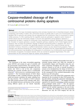 Caspase-Mediated Cleavage of the Centrosomal Proteins During Apoptosis Mi Young Seo 1 and Kunsoo Rhee1