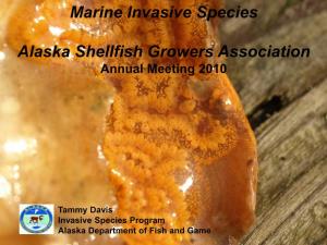 Marine Invasive Species Alaska Shellfish Growers Association