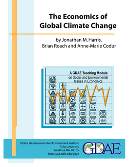 The Economics of Global Climate Change