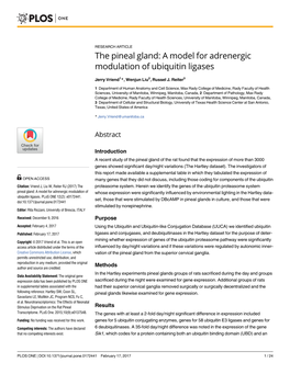 The Pineal Gland: a Model for Adrenergic Modulation of Ubiquitin Ligases