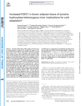 Increased FGF21 in Brown Adipose Tissue of Tyrosine Hydroxylase Heterozygous Mice: Implications for Cold Adaptation