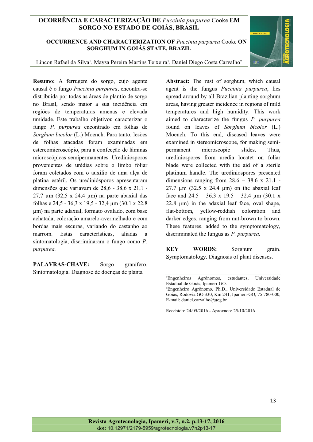 OCORRÊNCIA E CARACTERIZAÇÃO DE Puccinia Purpurea Cooke EM SORGO NO ESTADO DE GOIÁS, BRASIL