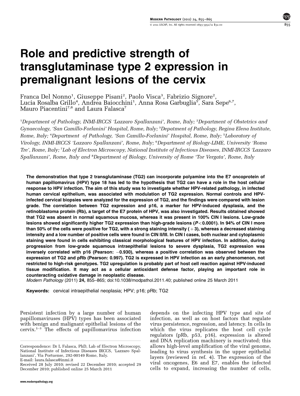 Role and Predictive Strength of Transglutaminase Type 2 Expression in Premalignant Lesions of the Cervix