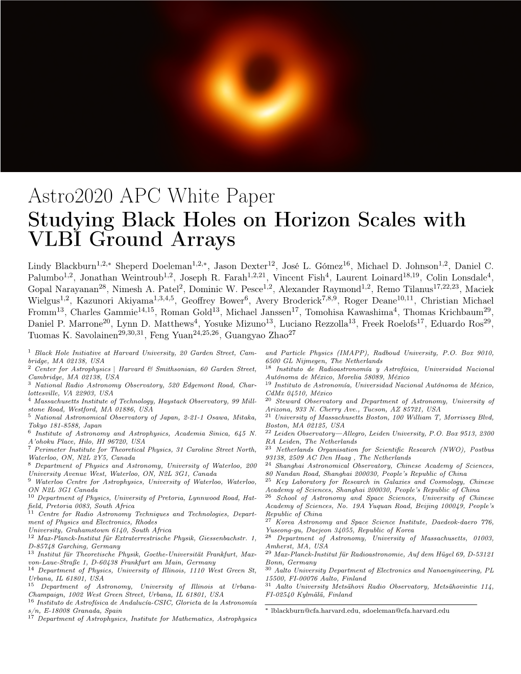 Astro2020 APC White Paper Studying Black Holes on Horizon Scales with VLBI Ground Arrays