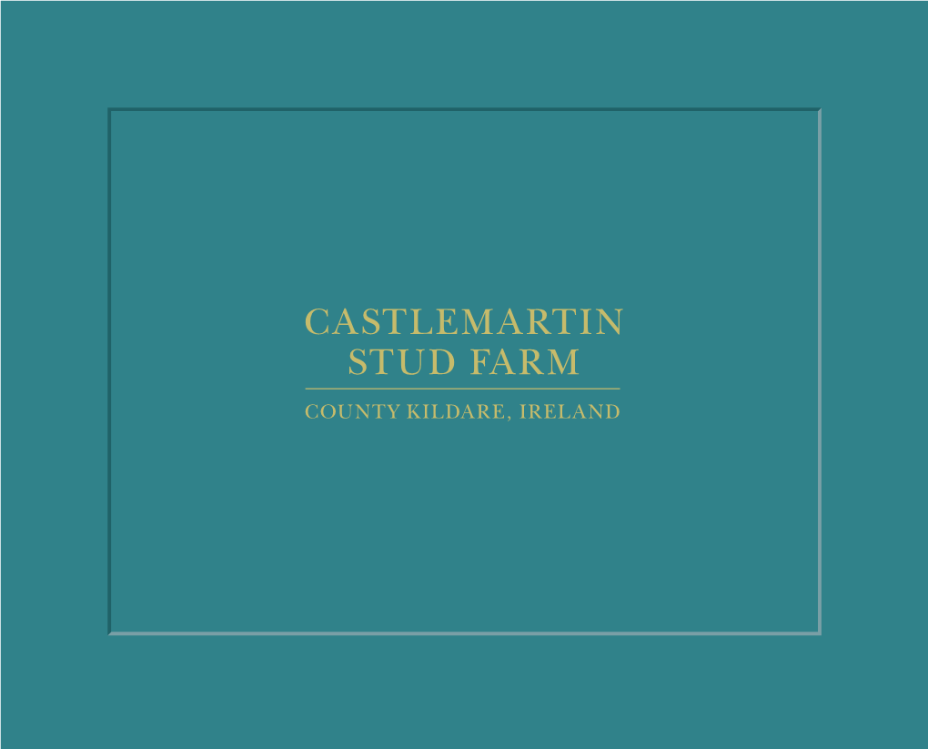Castlemartin Stud Farm County Kildare, Ireland