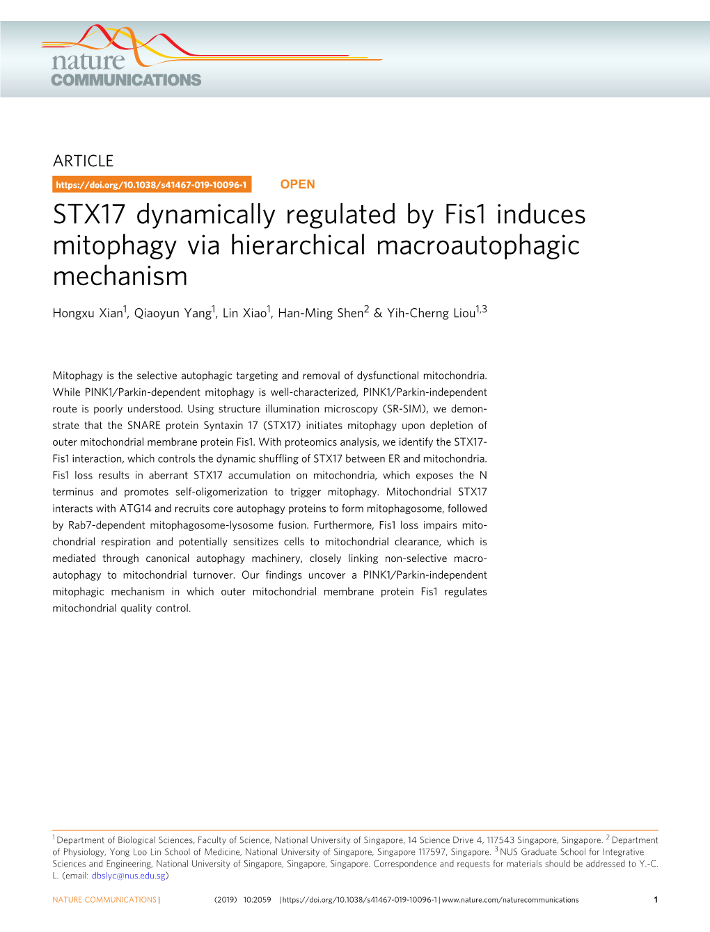 STX17 Dynamically Regulated by Fis1 Induces Mitophagy Via Hierarchical Macroautophagic Mechanism