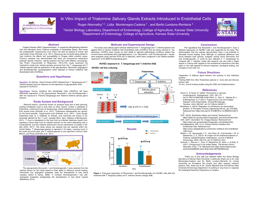 In Vitro Impact of Triatomine Salivary Glands Extracts Introduced To