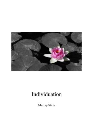 Individuation