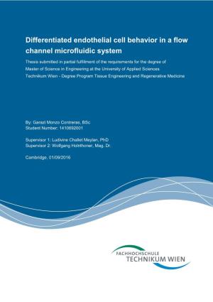 Differentiated Endothelial Cell Behavior in a Flow Channel Microfluidic System