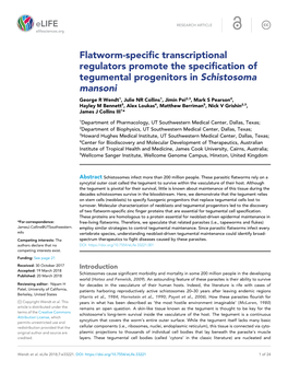 Flatworm-Specific Transcriptional Regulators Promote the Specification