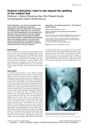 Ureteral Triplication: Need to See Beyond the Splitting of the Ureteral Bud Kirtikumar J