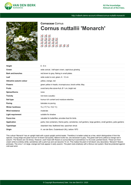 Cornus Nuttallii 'Monarch'