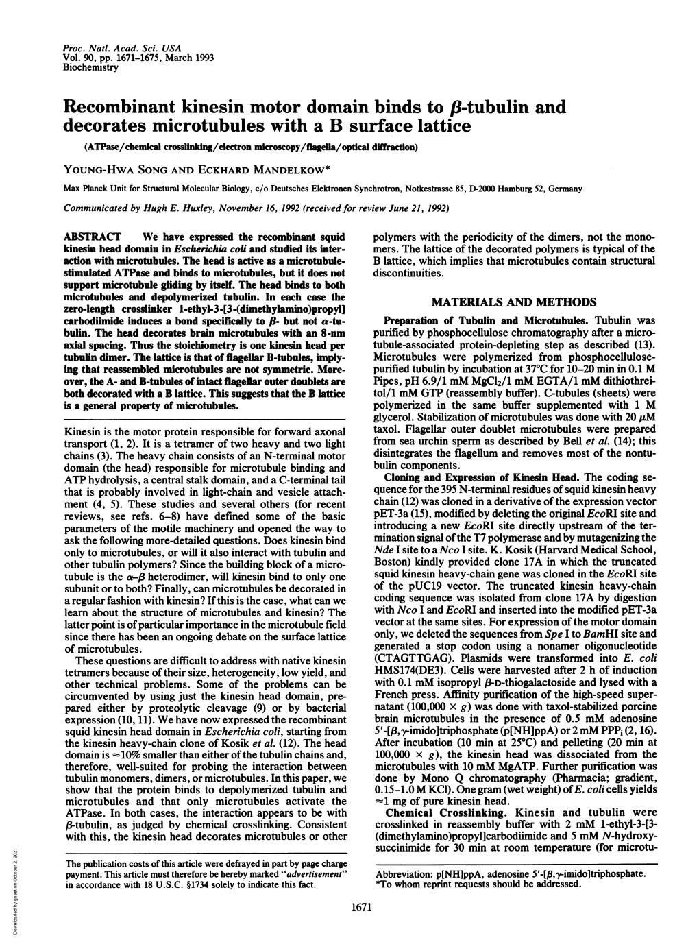 Recombinant Kinesin Motor Domain Binds to 1B-Tubulin and Decorates